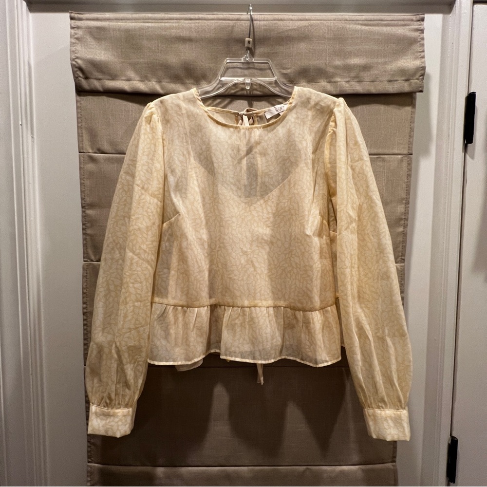 Loft Sheer Cropped Top